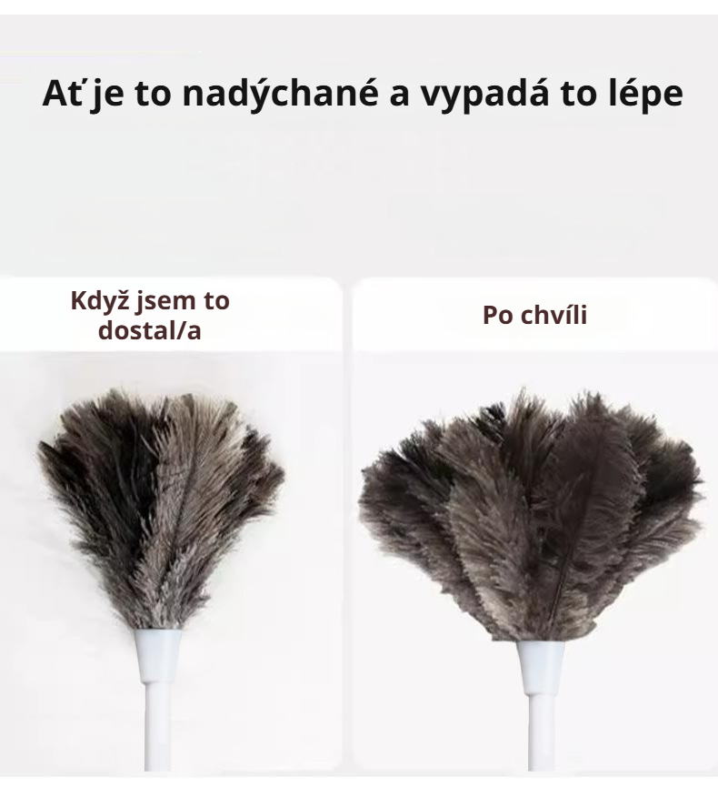 Oprašovač z pštrosího peří v ruce