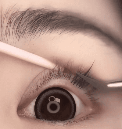 Honeycam 2025-02-10 16-36-15.gif