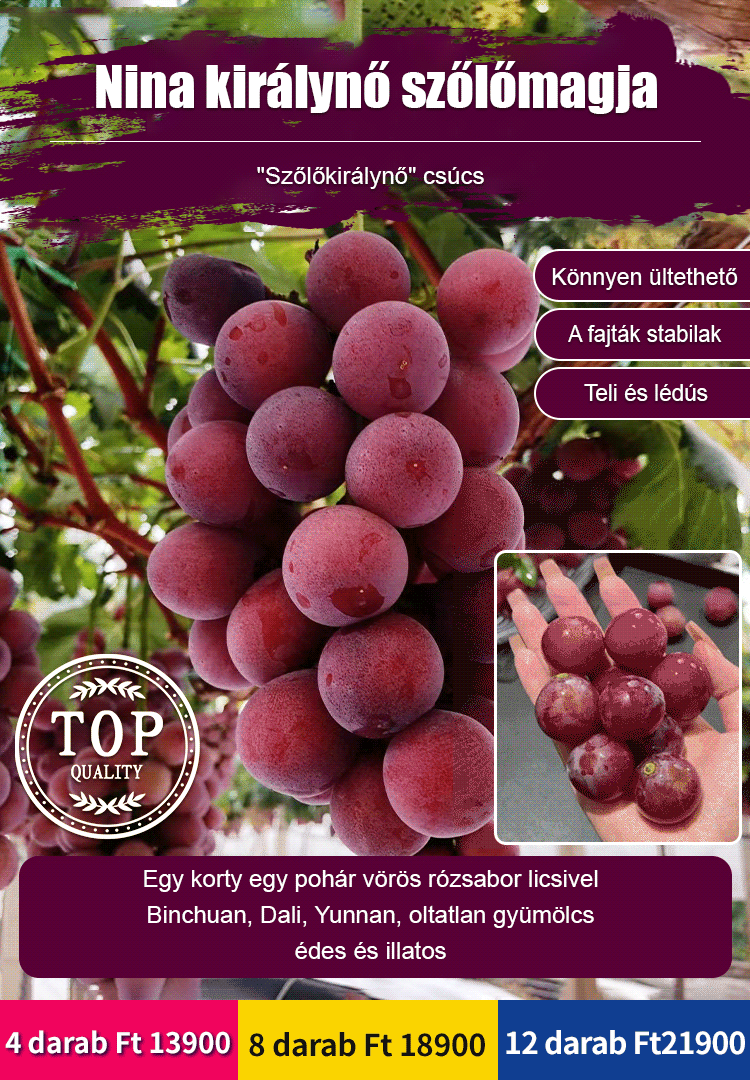 királynő nina szőlőmag