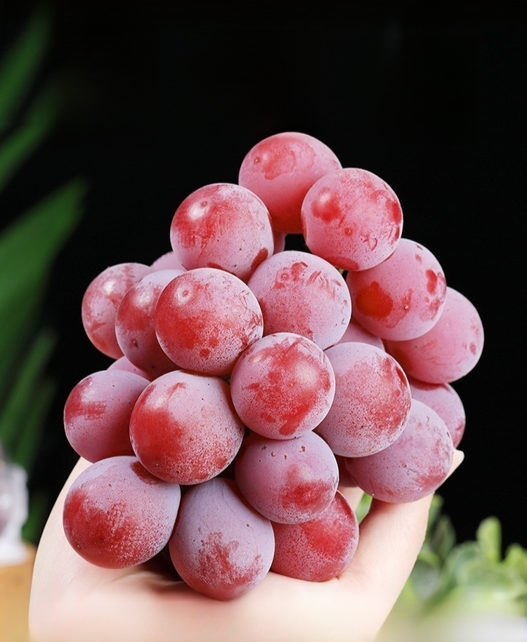 Queen Nina-Trauben mit natürlichem Weinaroma