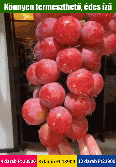 királynő nina szőlőmag