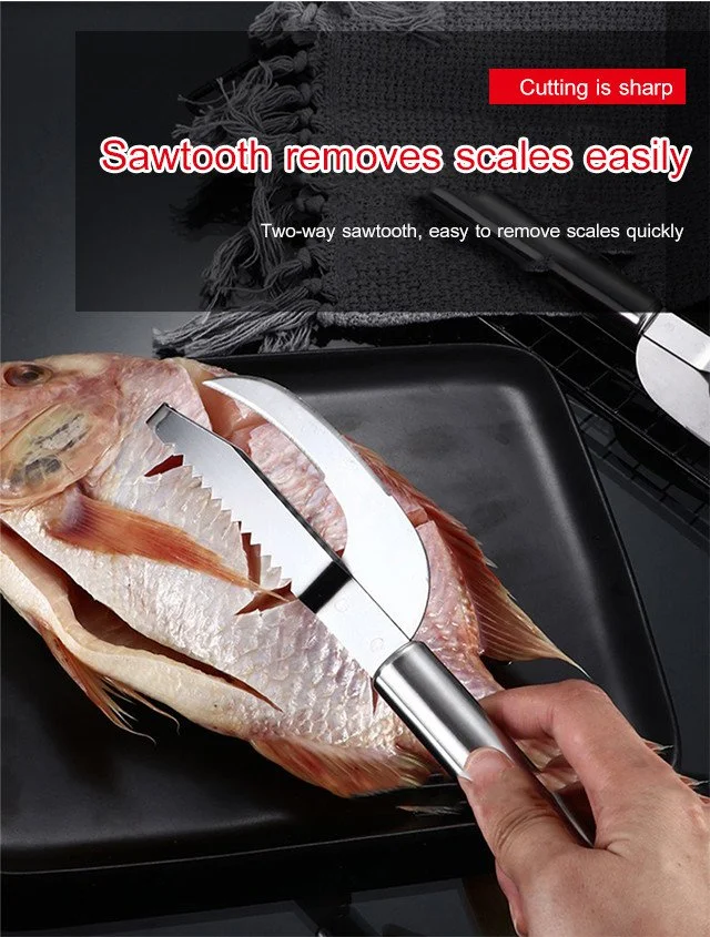 Stainless steel fish scaler remover knife with round handle
