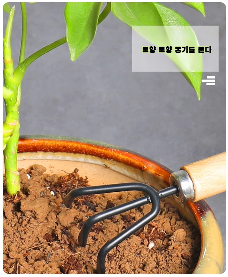 분재원예공구 3종세트 작은갈퀴삽 작은삽 편리한 꽃심기 다육용품