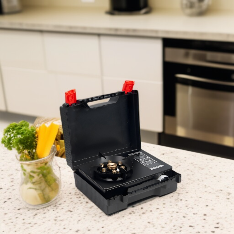 Household gas stoves