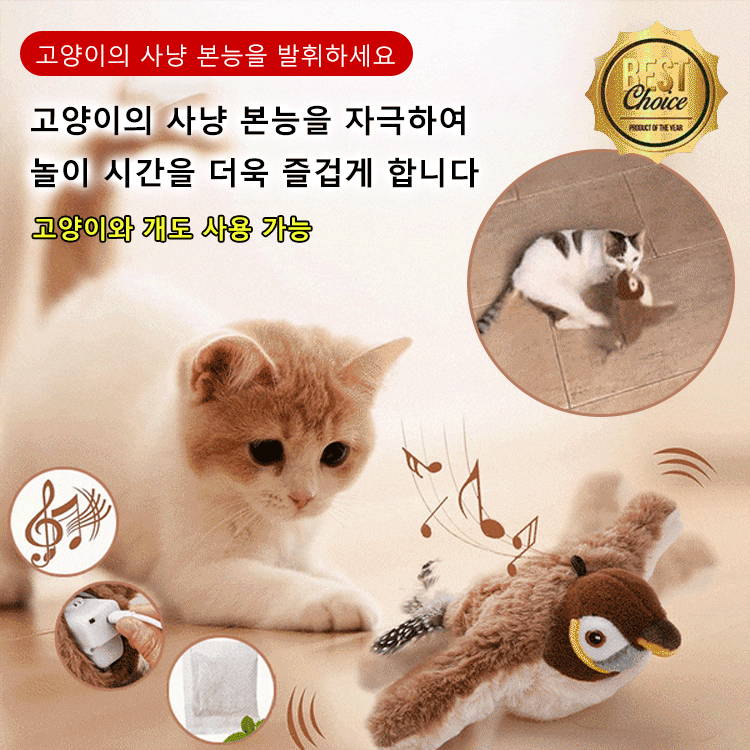 움직이는 고양이 장난감 춤추는새
