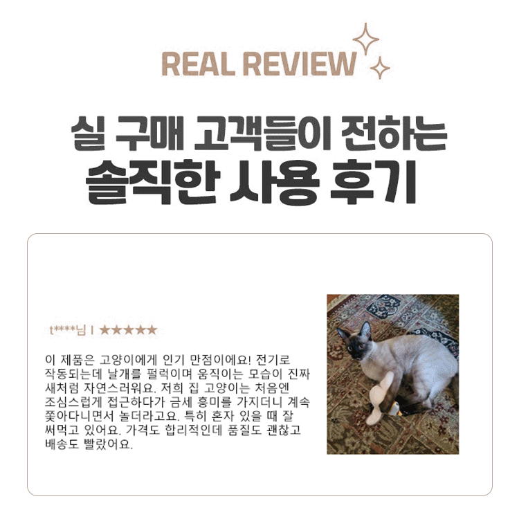 움직이는 고양이 장난감 춤추는새