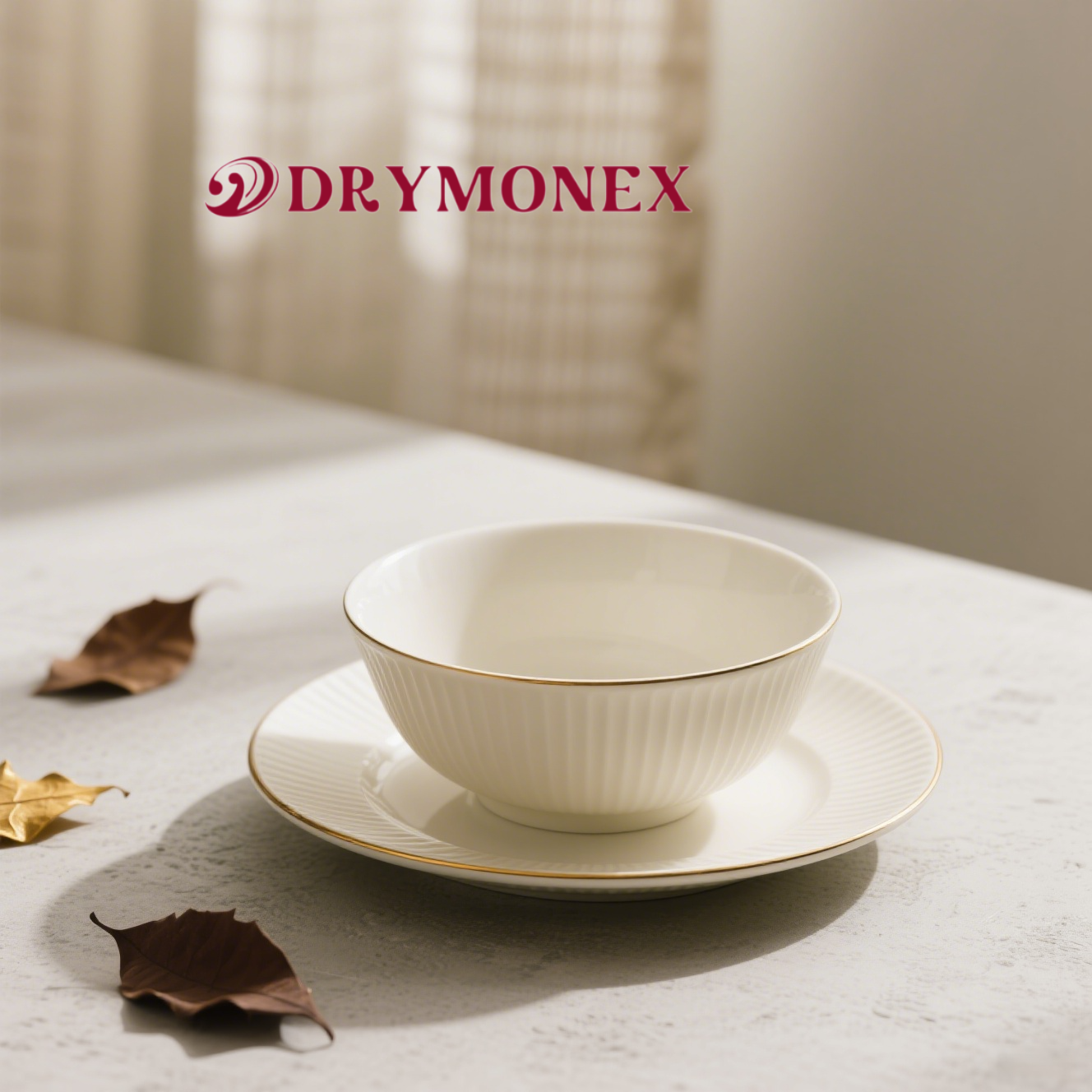 純白のボーンチャイナのボウルとプレートのセット