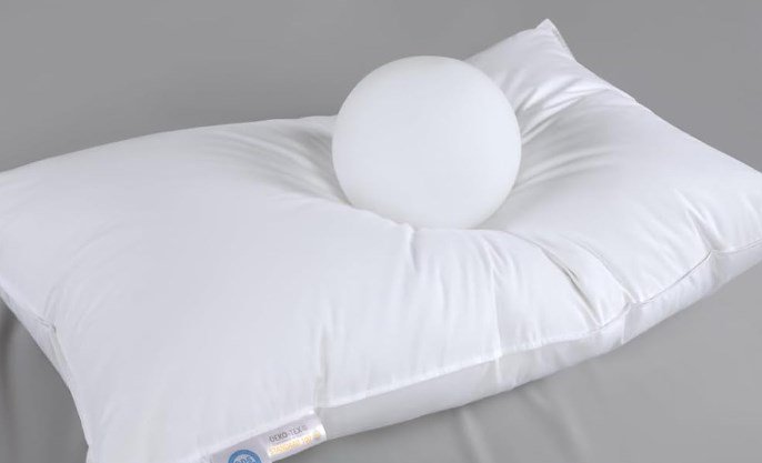 Luxury goose down pillow with soft cover