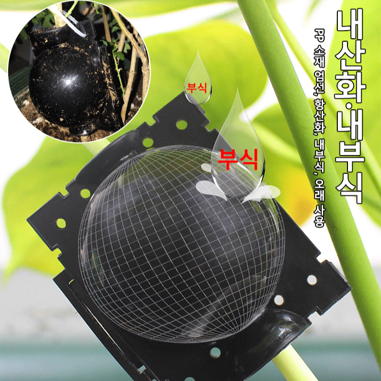 식물 고압 번식 상자