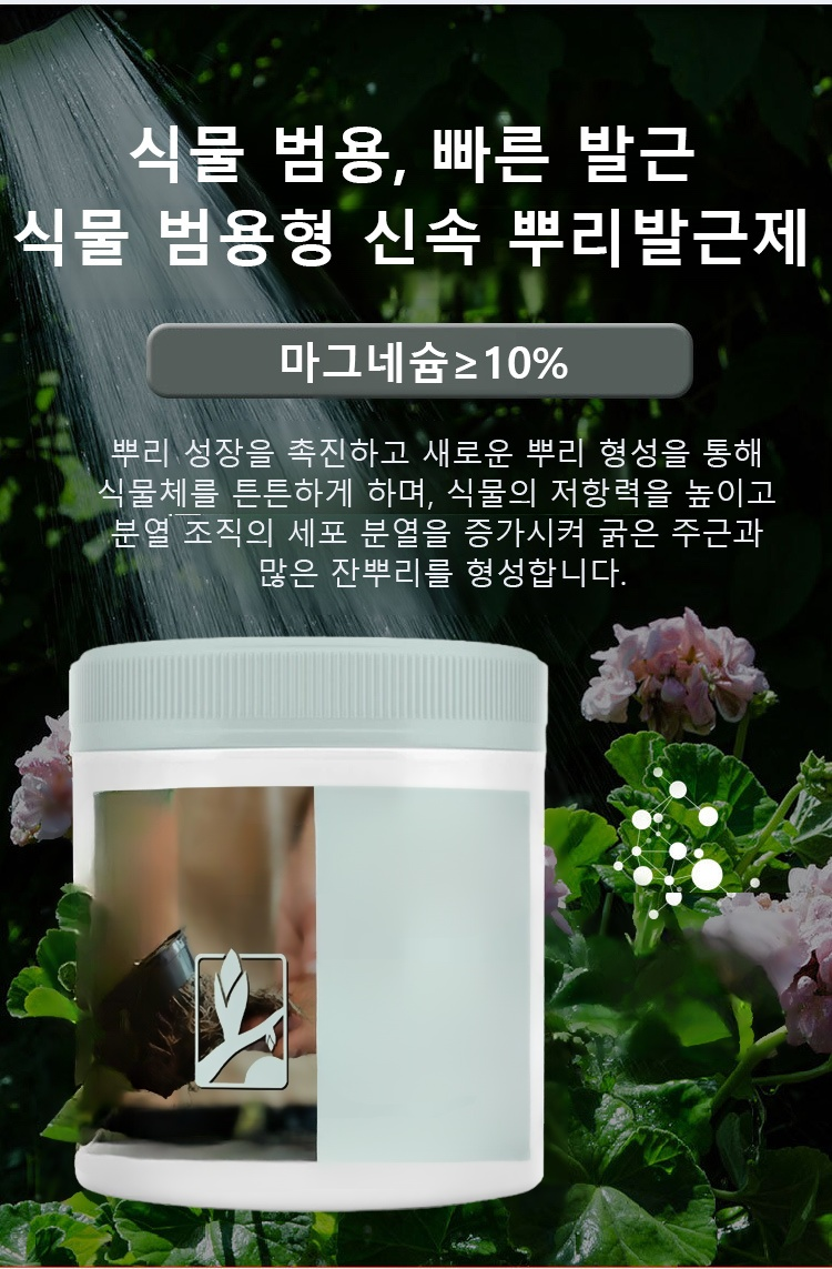 뿌리발근제 사용 전후 식물 비교