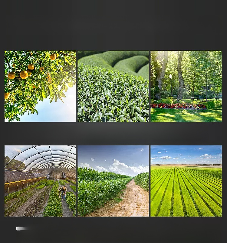 Grass Cutter Special Weed Removal and Loosening Soil Wheel