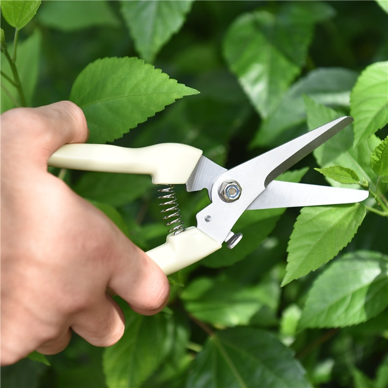 剪定鋏、枝鋏、果樹鋏、花枝鋏、摘果鋏、園芸用細果鋏、摘果鋏