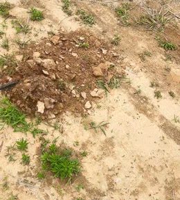 내구성이 뛰어난 망간강 농업 갈퀴