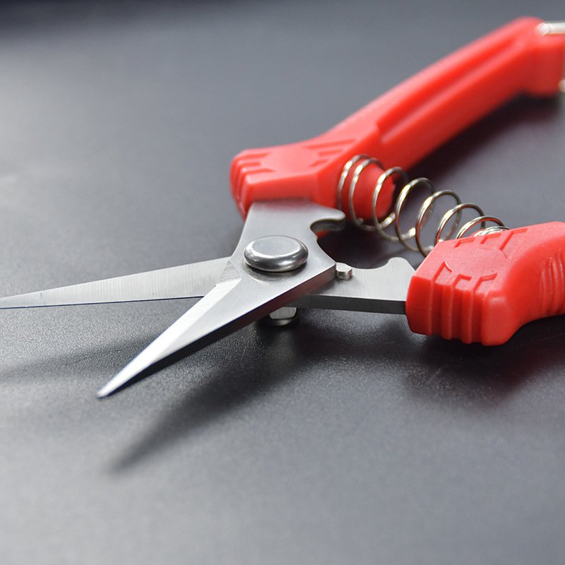 ステンレスの枝切りフラワーガーデニング盆栽の剪定です