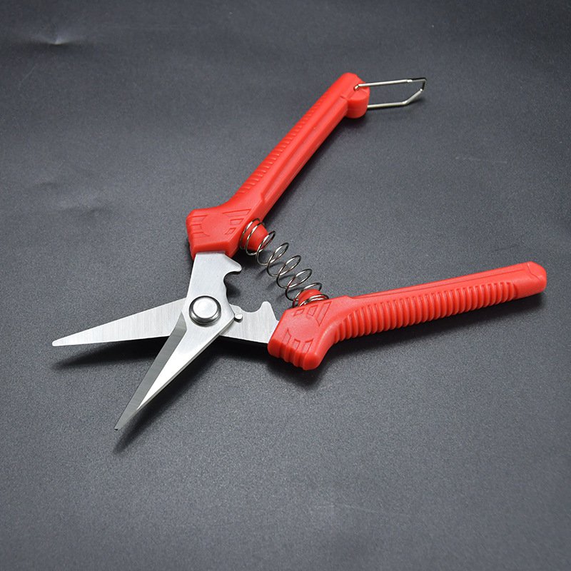 ステンレスの枝切りフラワーガーデニング盆栽の剪定です