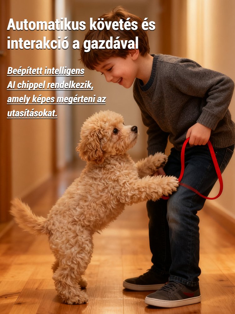 Bionikus intelligens mesterséges intelligencia társ háziállatoknak: Nincs gond a kutyagondozással! 