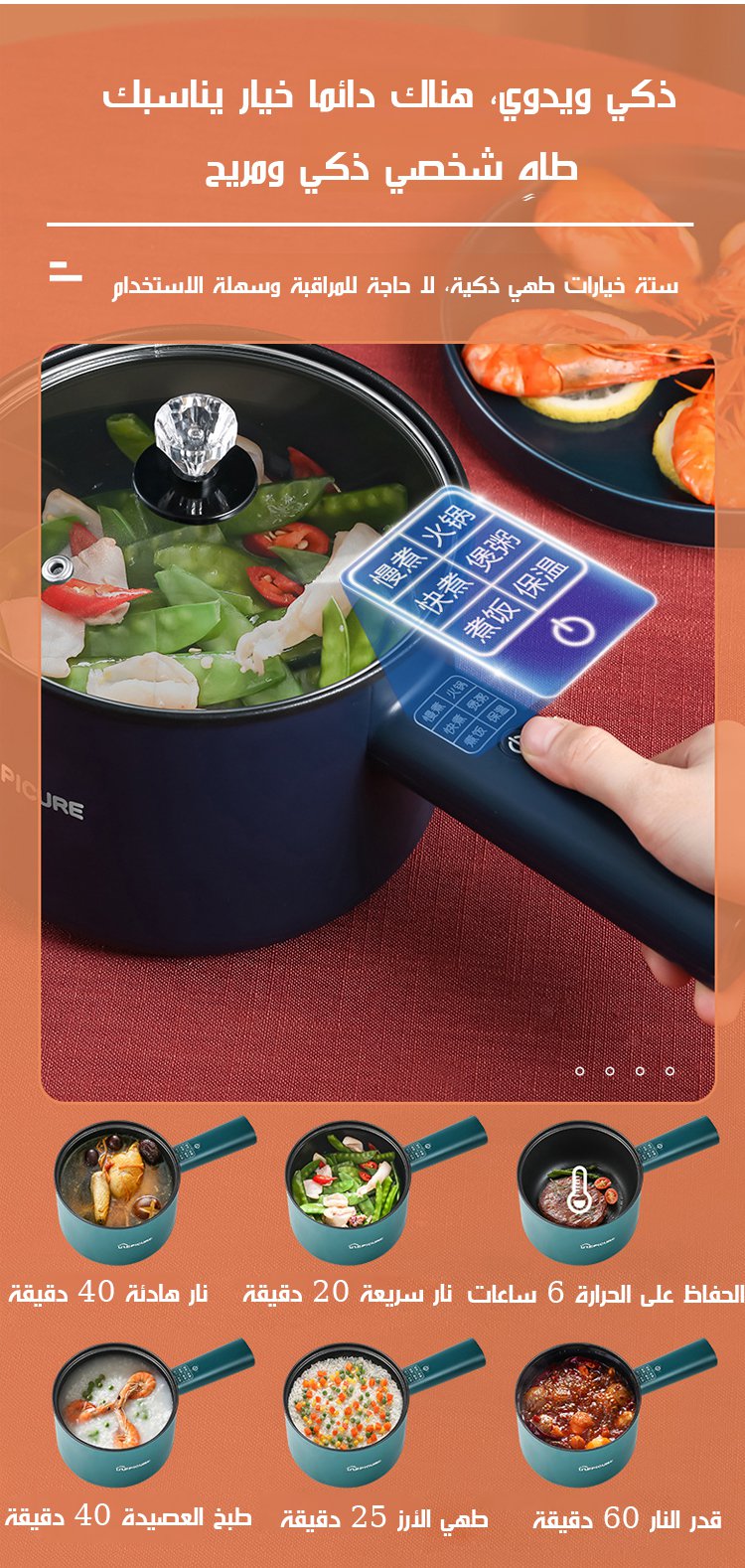 翻译件-SL-多功能电煮锅-562558_10.jpg