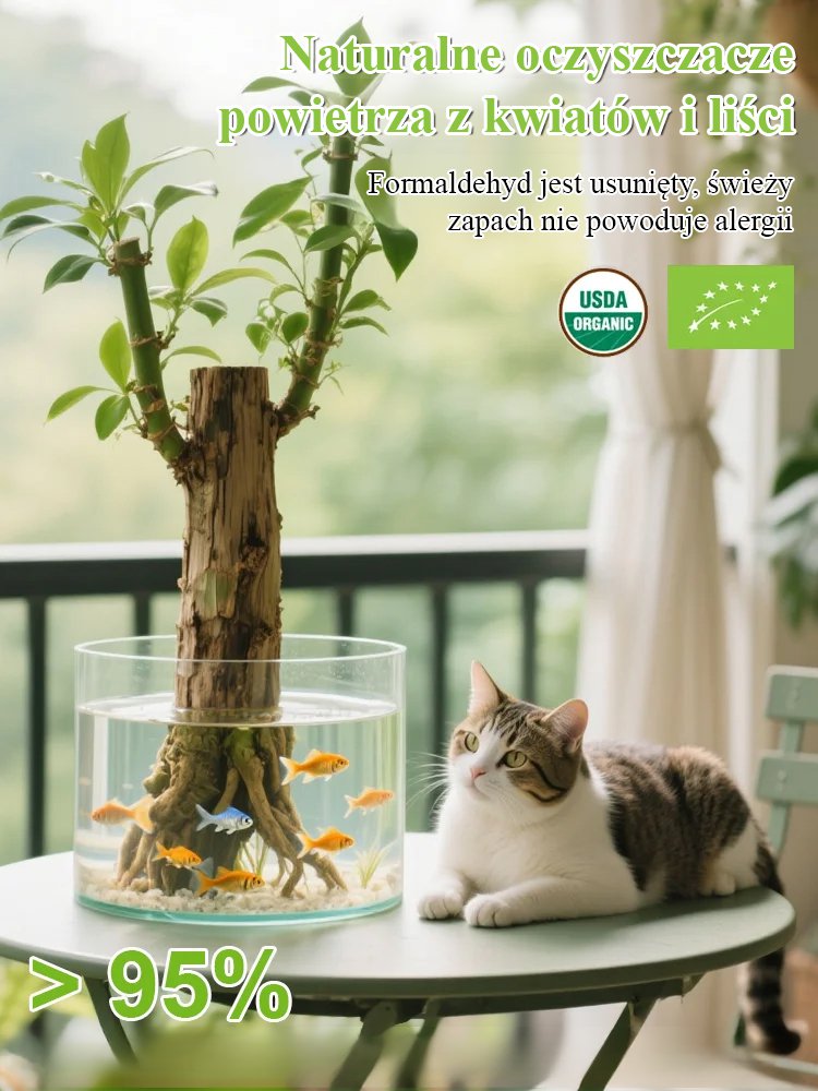 【Szczęście się odwraca】Hydroponiczna szczęśliwa roślina w doniczce