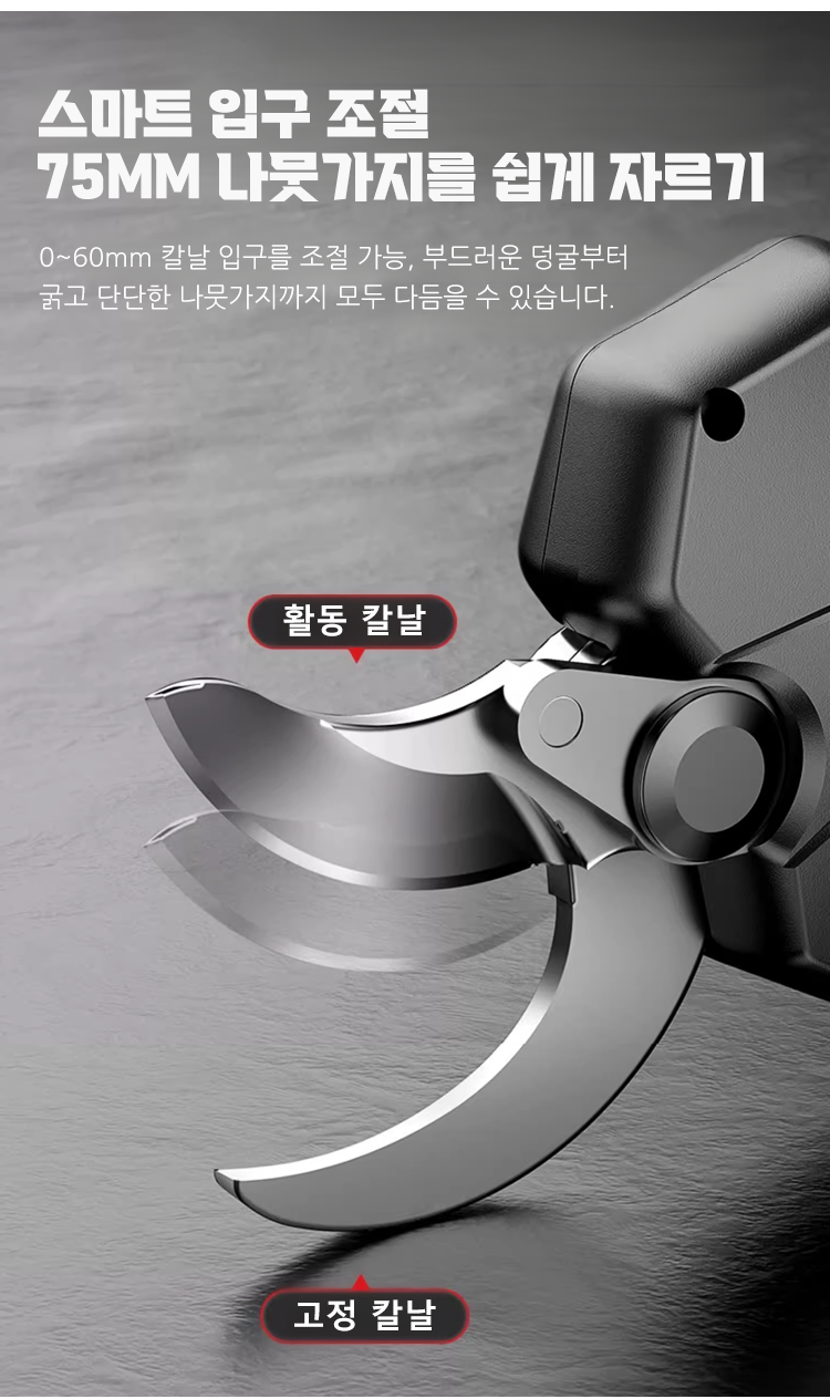 图层 71.png