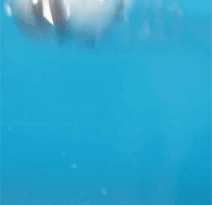 b0bbf03b2ec2d6e951ce60b079ecab95.gif