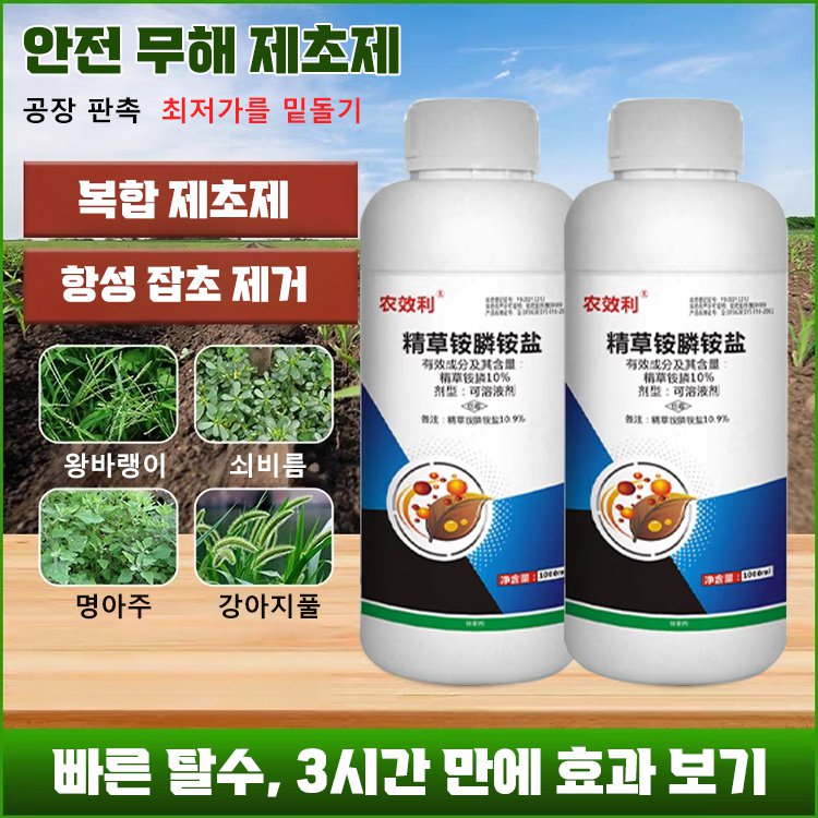 당일 결과를 확인하실 수 있습니다