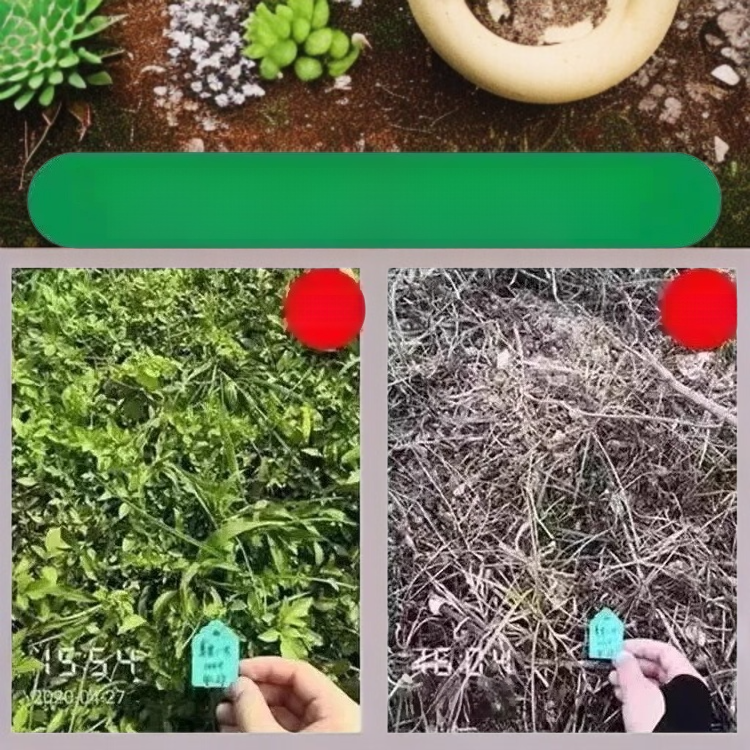 다기능 안전 무해 제초제