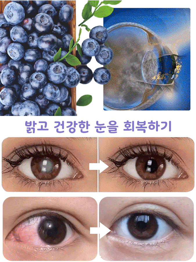 다품종 블루베리 씨앗