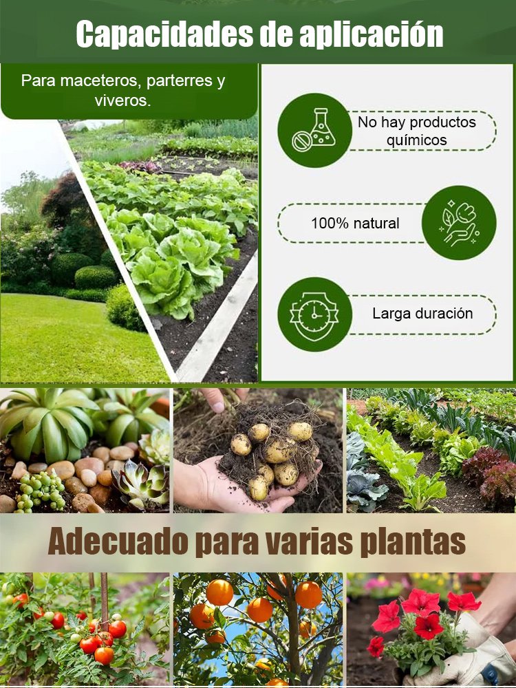 Mejorador de fertilizante para plantas
