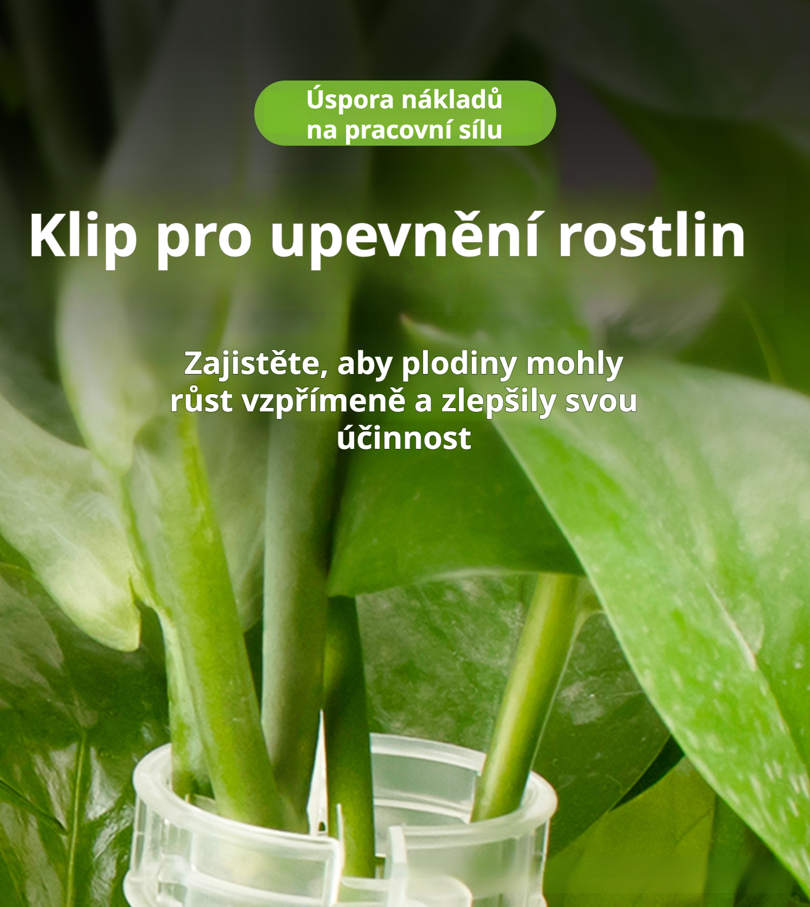 Klipy na upevnění rostlin v zahradě