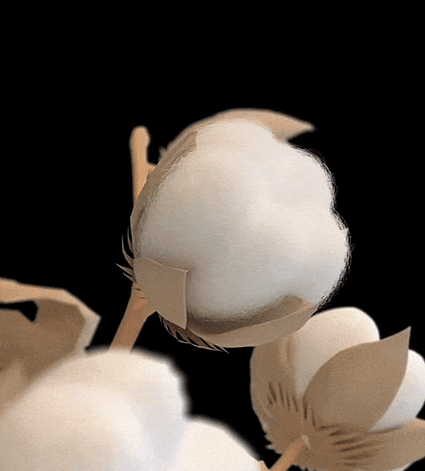 20240619_155314_245.gif