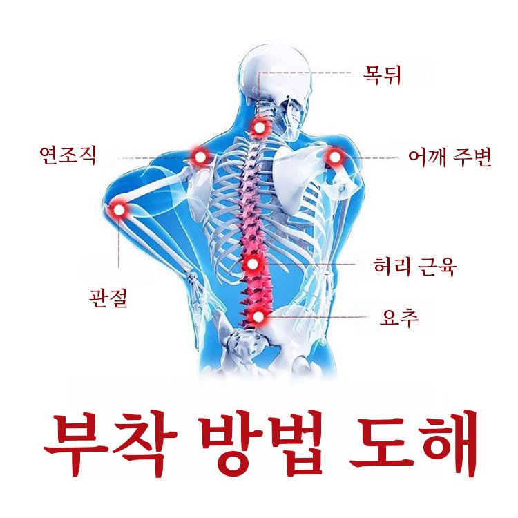 【한 번에 통증 완화】목 어깨 허리 다리 전용 자석 요법 패치