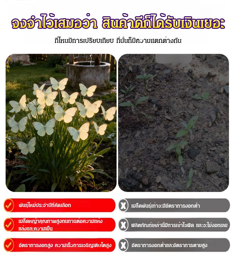 เครื่องประดับรูปผีเสื้อพระจันทร์