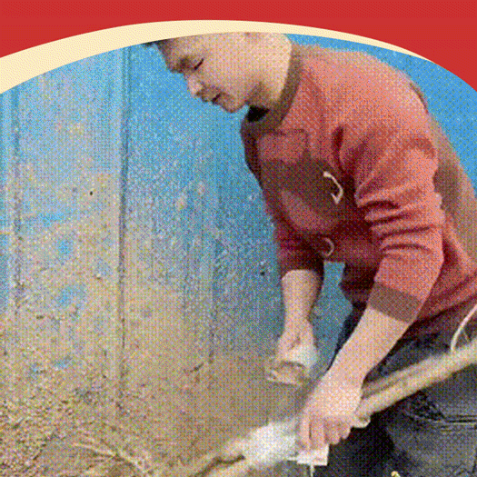 Dovezená semena chilské třešně