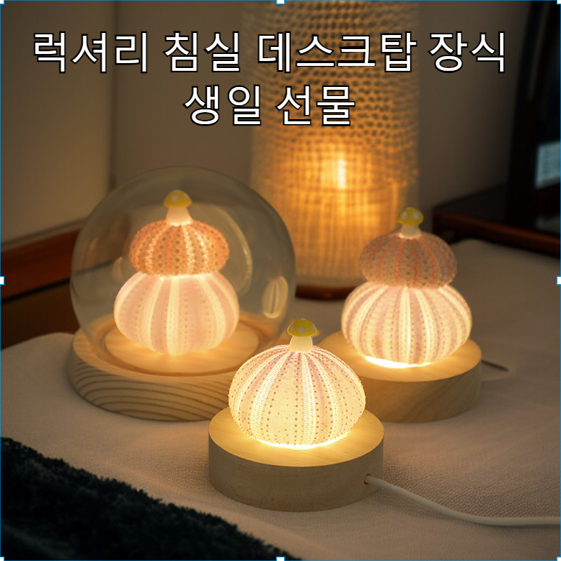 럭셔리 침실 데스크탑 장식 생일 선물