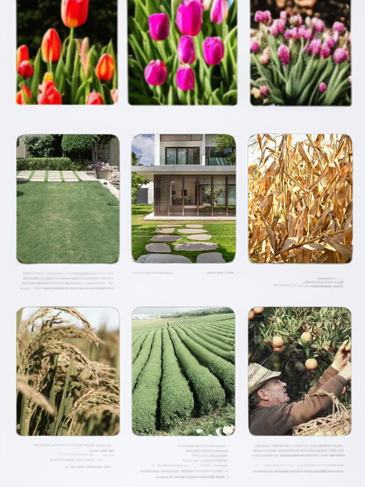  고효율 리튬 배터리 잔디 깎기 기계 8종 세트