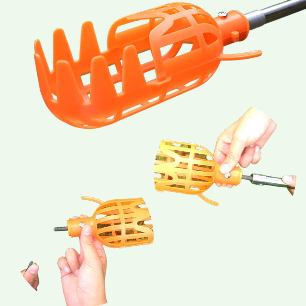 Pruning Shears for Orchard Maintenance  Perfect Tool for Trimming and Harvesting