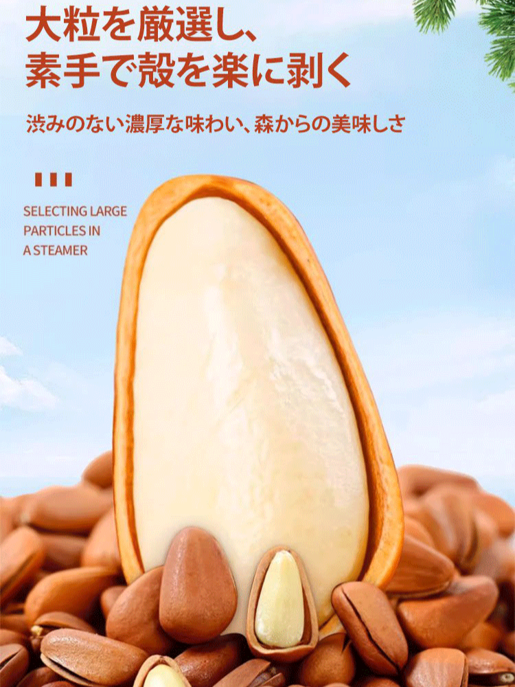 長白山産松の実