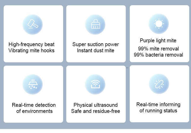 Safe and effective dust mite elimination process
