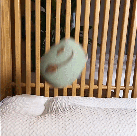 未标题-1_22.gif