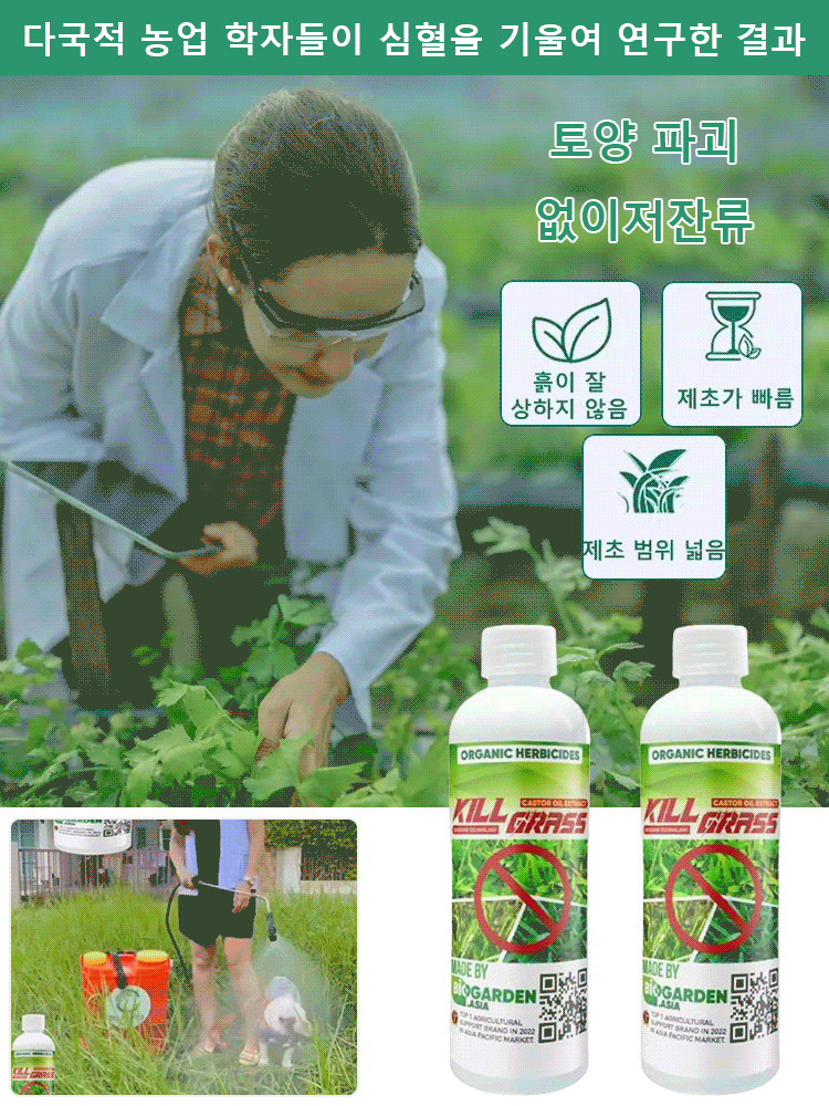 빠른 제초제, 깊은 뿌리 썩음 왕