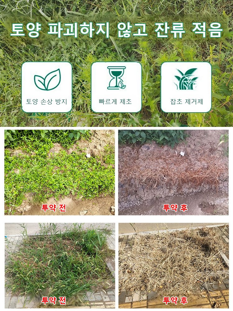 빠른 제초제, 깊은 뿌리 썩음 왕