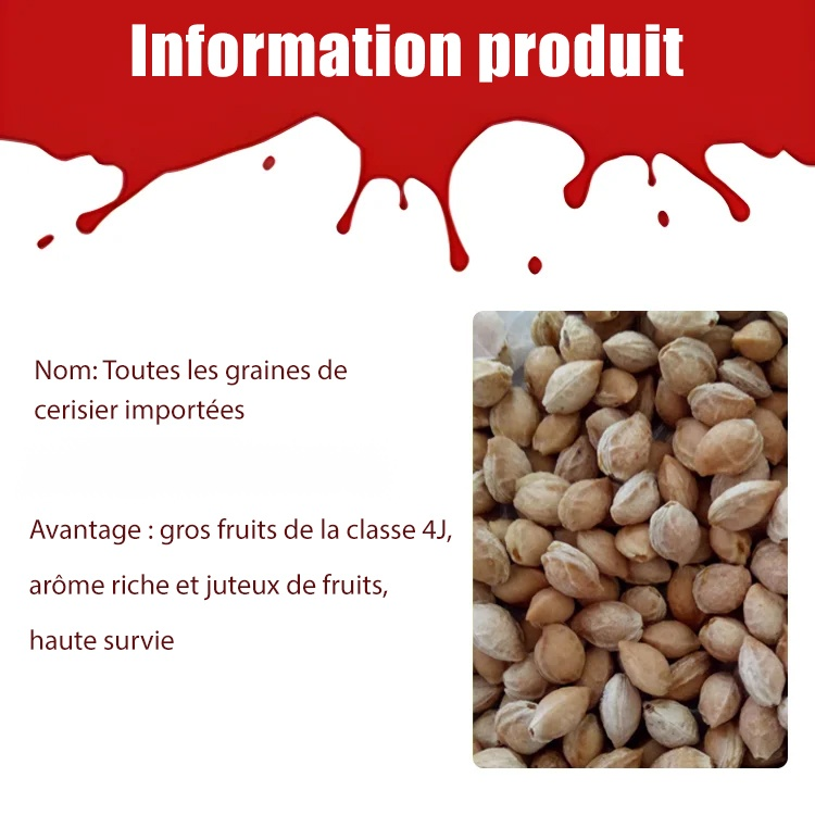 Graines de cerises importées du Chili