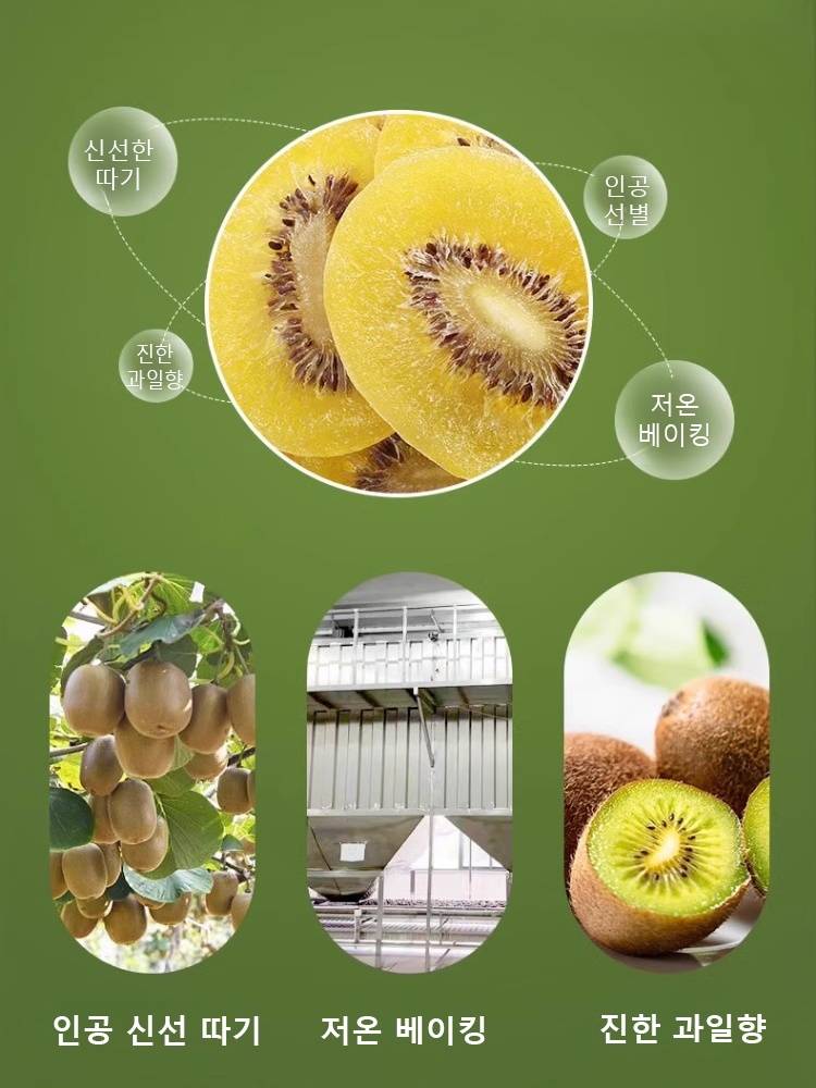 오가닉 골드 말린 키위