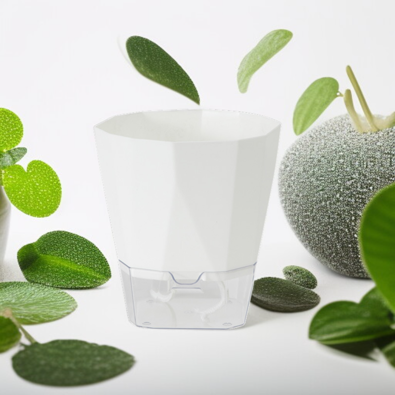 두꺼워진 심플한 실내 수경재배 다육식물 화분