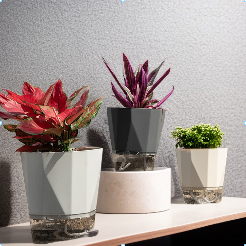 두꺼워진 심플한 실내 수경재배 다육식물 화분