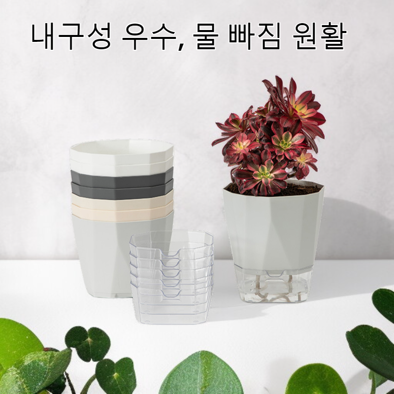 두꺼워진 심플한 실내 수경재배 다육식물 화분