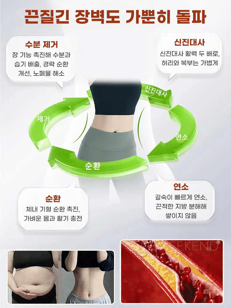 【식보자양】황금 아마씨 쿠키