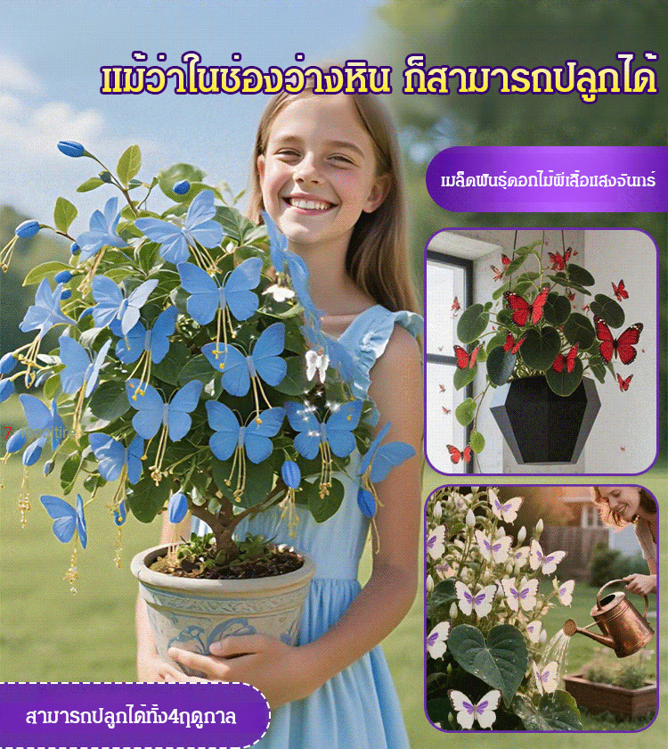 เครื่องประดับรูปผีเสื้อพระจันทร์