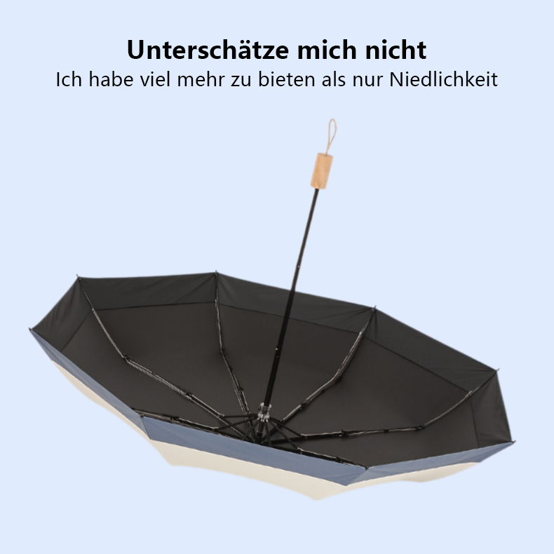 Französischer Retro-Sonnenschirm