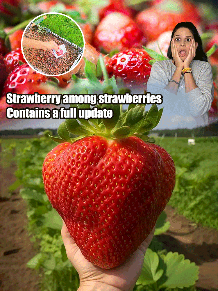 Sweet juicy creamy strawberry seeds